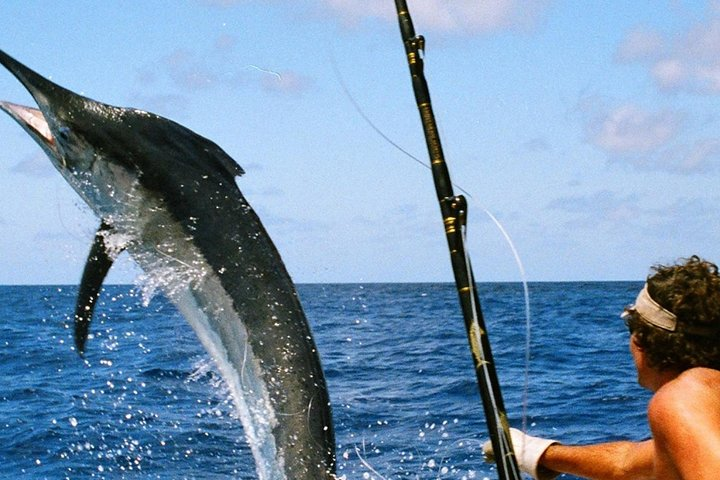 Experience the excitement of deep sea fishing in Dubai's warm waters where anglers of all skill levels can catch an array of fish. Perfect for an unforgettable adventure!